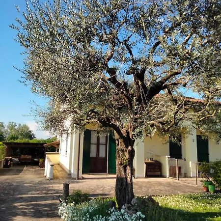 Lejlighed Casa Sandra